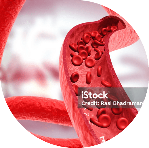 Hematology banner