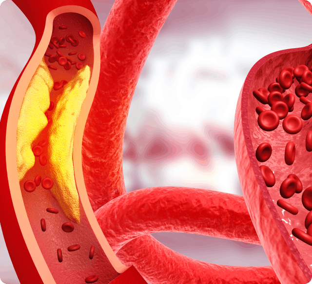 Southern Specialty is there. img